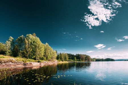 Swedish Nature. Arjang SV, Tocksfors, Sweden. Summer Lake Or River In Beautiful Summer Sunny Dayの写真素材