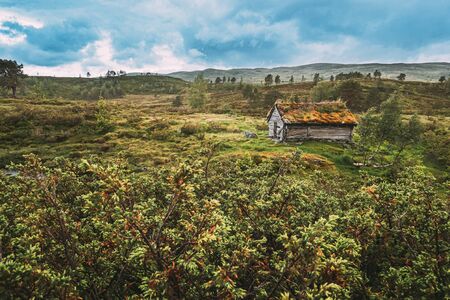 Traditional Norwegian Old Wooden Houses With Growing Grass On Roof. Cabins In Norway.の写真素材