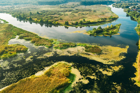 Aerial View Green Marsh And River Landscape In Summer Day. Top View Of Beautiful European Nature...