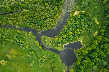Aerial View. Green Forest, Meadow And River Marsh Landscape In Summer. Top View Of European Nature From High Attitude In Summer Sunrise. Birds Eye View. Belarusの写真素材