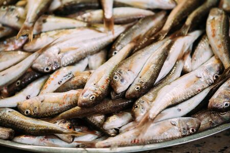 Fresh Fish On Display On Ice On Fishermen Market Store Shop. Seafood Fish Background. Top View. Mullus Fishの写真素材