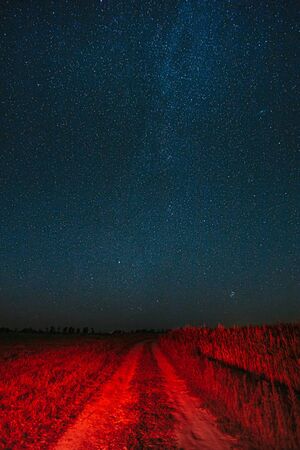 Night Starry Sky With Glowing Stars Above Country Road Is Lit In Red. Countryside Field Landscape.の写真素材