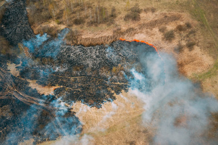Aerial View. Dry Grass Burns During Drought And Hot Weather. Bush Fire And Smoke In Meadow Field....
