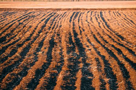 Spring Plowed Field In Sunset Light. Ploughed Field In Early Spring. Farm, Agricultural Landscape. Agricultural Background Of Newly Plowed Field Furrows Ready For New Cropsの写真素材