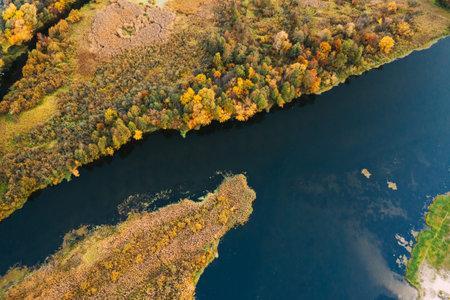 Aerial View Of Green Grass Landscape. Top View Of River Coast From High Attitude In Summer Evening....