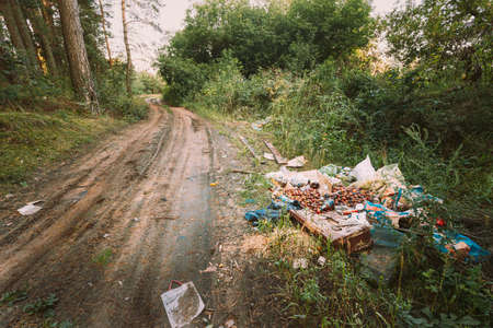 Pile Of Garbage Left By People In Forestの写真素材