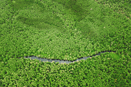 Elevated View Of Green Small Bog Marsh Swamp River Wetland And Green Forest Landscape In Summer Day....