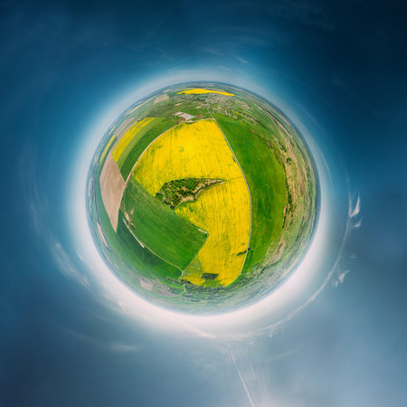 Aerial View Green Countryside Rural Yellow Canola Colza Field Meadow Landscape Sunny Spring Day. Top...