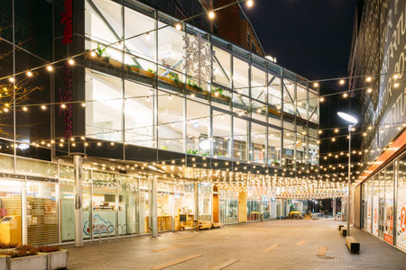 Parnu, Estonia. Night View Of Port Artur shopping centre in Christmas Xmas New Year Illuminations Decorationsのeditorial素材