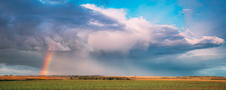 Dramatic Sky During Rain With Rainbow On Horizon Above Rural Landscape Field. Agricultural And...