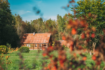 Berezinsky, Biosphere Reserve, Belarus. Traditional Belarusian Tourist Guest Houses In Early Autumn...