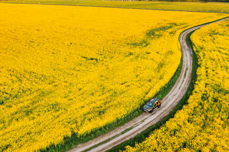 Renault Duster SUV Parked Near Countryside Road In Spring Field Countryside Landscape. Duster Produced Jointly By French Manufacturer Renault And Its Romanian Subsidiary Dacia.のeditorial素材