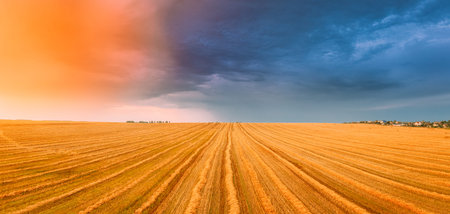 Aerial View Of Sunset Sunrise Bright Sky Above Summer Hay Field Landscape In Evening Sunset. Cut Dry...