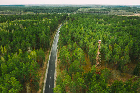 Aerial View Of Road Through Spring Forest Landscape. Top View Of Fire Lookout Tower
