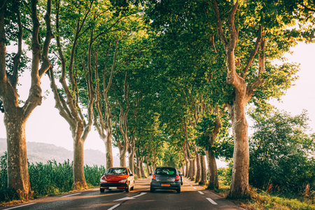 Cars driving on a country road lined with trees. Bright sunlight at sunset in the evening. Cars on background of French landscapeの写真素材