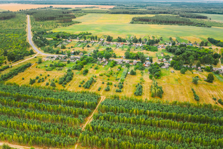 Aerial View Green Forest Deforestation Area Landscape Near Village. Top View Of New Young Growing Forest. European Nature From High Attitude In Summerの写真素材
