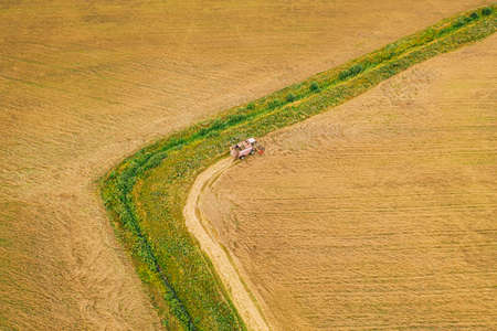 Aerial View Of Rural Landscape. Combine Harvester Working In Field, Collects Seeds. Harvesting Of Wheat In Late Summer. Agricultural Machine Collecting Golden Ripe. Birds-eye Drone Viewの写真素材
