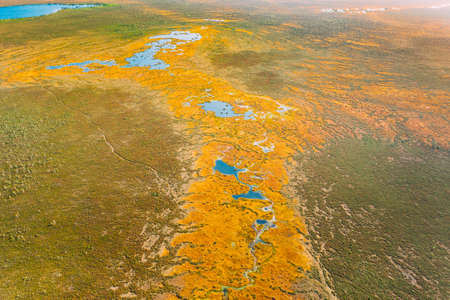 Miory District, Vitebsk Region, Belarus. The Yelnya Swamp. Upland And Transitional Bogs With Numerous Lakes. Elevated Aerial View Of Yelnya Nature Reserve Landscape. Famous Natural Landmarkの写真素材