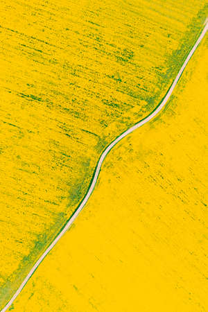 Aerial View Of Agricultural Landscape With Flowering Blooming Rapeseed, Oilseed In Field Meadow In Spring Season. Blossom Of Canola Yellow Flowers. Beautiful Rural Background Backdrop.の写真素材