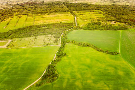 Aerial View Spring Empty Field With Windbreaks Landscape. Top View Of Field And Forest Belt. Bird's Eye View. A Windbreak Or Shelterbelt Is A Planting Usually To Protect Soil From Erosion.の写真素材