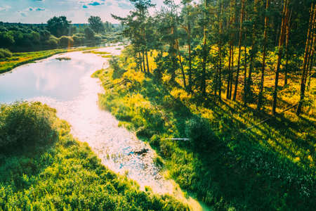 Belarus. Aerial View Of Dry Grass And Small Bog Marsh Swamp Wetland Landscape In Spring Day. High Attitude View. Marsh Bog. Birds Eye Viewの写真素材