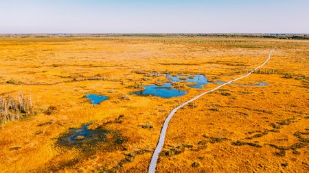 Miory District, Vitebsk Region, Belarus. The Yelnya Swamp. Aerial View Of Yelnya Nature Reserve...