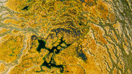 Miory District, Vitebsk Region, Belarus. The Yelnya Swamp. Upland And Transitional Bogs With Numerous Lakes. Elevated Aerial View Of Yelnya Nature Reserve Landscape. Famous Natural Landmarkの写真素材