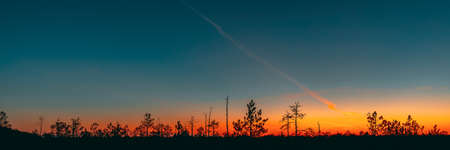 Berezinsky, Biosphere Reserve, Belarus. Autumn Dawn Landscape With Marsh Swamp During Sunset. Dark Trees Silhouettes On Colorful Sunset Sky Backgroundの写真素材