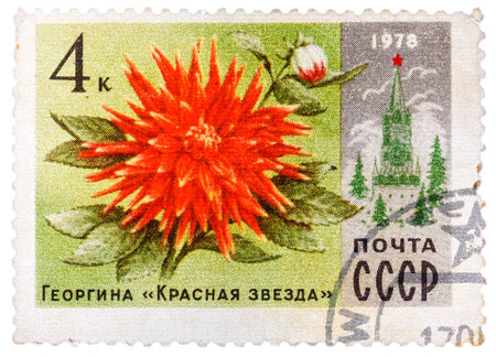 Stamp printed in Russia shows Dahlia Red Star and Spasski Towerのeditorial素材
