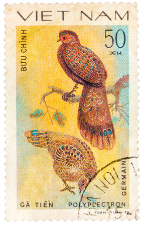 Stamp printed in Vietnam shows Polyplectron germaini, series devoted to the ornamental birdsのeditorial素材