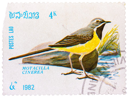 Stamp printed in LAOS shows Grey Wagtail (Motacilla cinerea)のeditorial素材