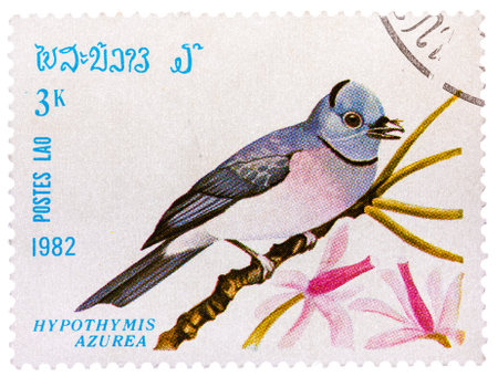 Stamp printed in LAOS shows Black-naped Monarch,(Hypothymis azurea), from series Birdsのeditorial素材