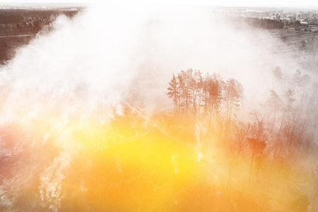 Wild Open Fire Destroys Grass. Natural Disaster. Aerial View. Dry Grass Burns During Drought And Hot Weather. Fire And Smoke In Meadow Field. Nature In Danger. Fire Creeps Into Forest. Copy Spaceの写真素材