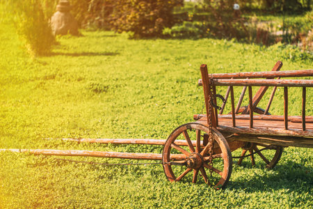 Gardening And Housekeeping. Vintage Cart On Summer Sunny Day. Decorative Peasant Cart On Summer Lawn. Bright Sunny Day. Garden Decoration Concept. Garden Wagon. Copy Spaceの写真素材