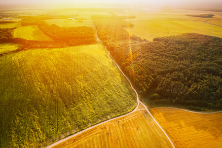 Aerial View Of summer Hay Rolls Straw Field and forest Landscape. Haystacks, Hay Rolls. Harvest Season. Elevated View. sunbeam sunlight sunshineの写真素材