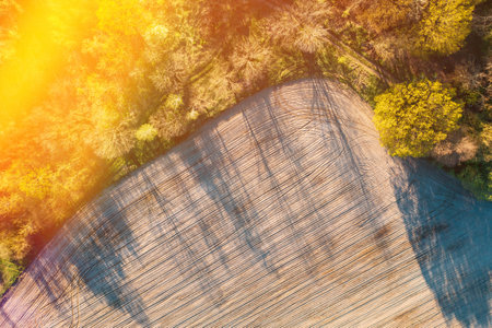 Rural spring field and Trees on border landscape. Sunny sunshine Day. Long Woods Shadows . Aerial View Amazing country Landscape Scenic View Of Park Woods. Nature Elevated Flat View. tractor trails imprints.の写真素材