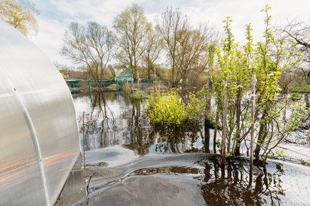 Vegetable Garden Beds In Water During Spring Flood floodwaters during natural disaster. Water deluge...