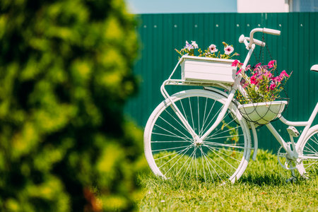 Decorative Retro Vintage Model Bicycle Equipped Basket Flowers Garden On Background Of Green Fence. Summer Flower Bed With Petunias. Landscaping, Garden Decor. Close Up, Detailの写真素材