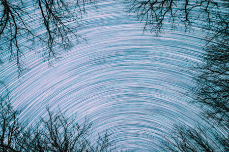 Abstract Star Lines Move In Sky.spin Trails Of Stars Above Tree Crowns Without Foliage. Night Rotate...