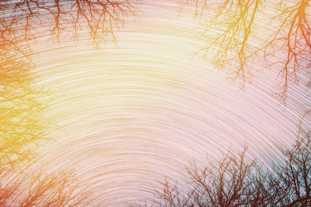 Saturated Amazing Unusual Stars Effects In Sky. Abstract Star Lines Move In Sky.spin Trails Of Stars Above Tree Crowns Without Foliage. Night Rotate Sky Star Background. Bright Blue, Yellow, Orangeの写真素材