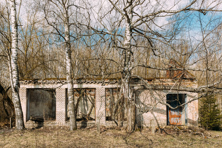 Abandoned Ruined Old Village House In Chernobyl Resettlement Zone. Belarus. Chornobyl Catastrophe Disasters. Dilapidated House In Belarusian Village. Whole Villages Must Be Disposed. Radioactivity Zoneの写真素材