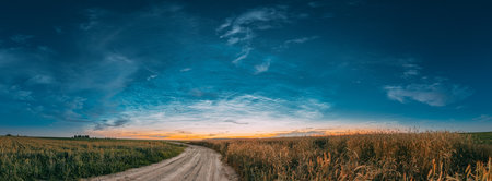 Night Starry Sky With Glowing Stars Above Countryside Landscape. Noctilucent Clouds Above Rural Field With Young Rye And Wheat And Country Road In Summer. Panorama, Panoramic Viewの写真素材