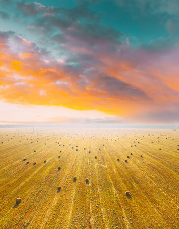Aerial View Of Summer Hay Rolls Straw Field Landscape In Summer Sunny Day. Bright Orange Blue Sky Above Field Landscape. Harvest Season. Elevated View. Sunbeams Highlight Above Blossom Rapeseedの写真素材