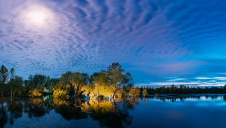 panorama Night landscape with Trees that Standing In Water During Spring Flood floodwaters in moonlight. Trees woods in Water deluge During A Spring Flood. Beautiful spring landscape with reflection in river. inundation Lake Or Riverの写真素材