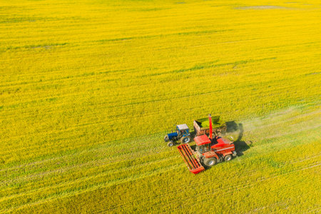 Aerial View Of Rural Landscape. Combine Harvester And Tractor Working Together In Field. Harvesting Of Oilseed In Spring Season. Agricultural Machines Collecting Blooming Rapeseeds Canola Colza. Elevated Viewの写真素材