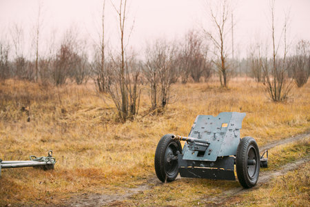 German Anti-tank Gun In Field. German Anti-tank Gun That Fired A 3.7 Cm Calibre Shell. It Was Main...