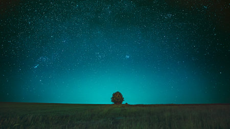 Amazing Bright Blue Night Starry Sky Above Lonely Tree In Meadow. Glowing Stars And Wood In Summer Countryside Landscapeの写真素材