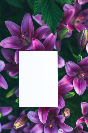 Violet Flowers Composition. Minimal Styled Concept. Flat Lay, Top View, Copy Space. Creative Lifestyle, Summer, Spring Mockup Concept. Cosmetic Or Beauty Product Promotion Advertise. Photo Frameの写真素材