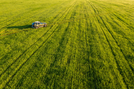 Gomel, Belarus - June 17, 2021: Aerial view of Renault Duster car suv mooving on countryside road in spring field rural landscape. Renault Duster or Dacia Duster Suv in road through summer green corn fieldのeditorial素材