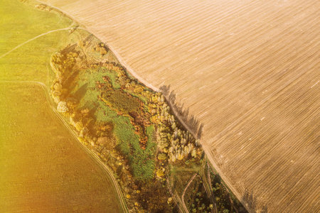 Amazing Sunbeams Highlight Aerial View Plantation With Young Green Forest Area Near Rural Field Landscape. Top View Of New Young Growing Forest. European Nature From High Attitude In Autumn Seasonの写真素材